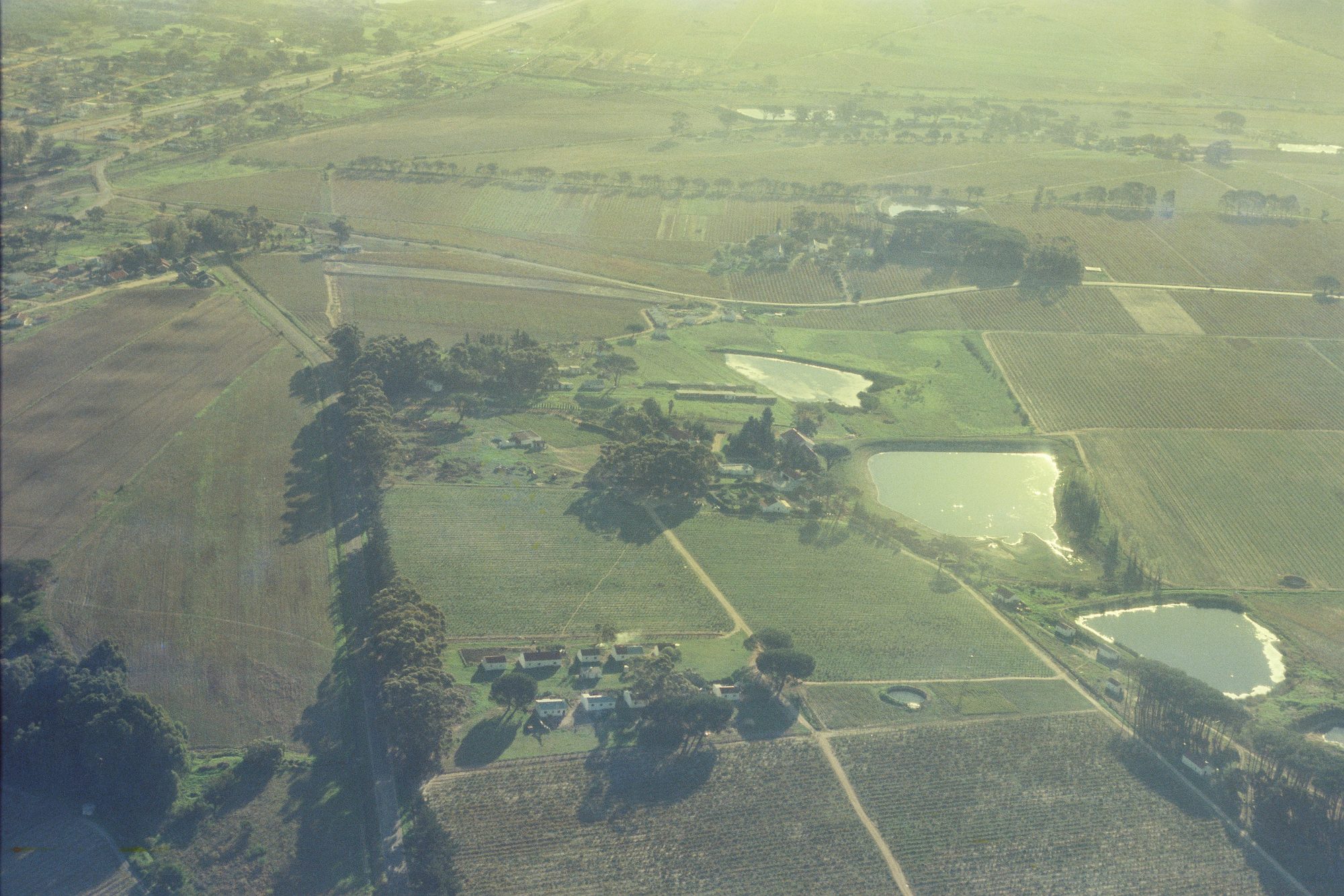 Aerial view of Eendrag's vineyards, dams and homestead