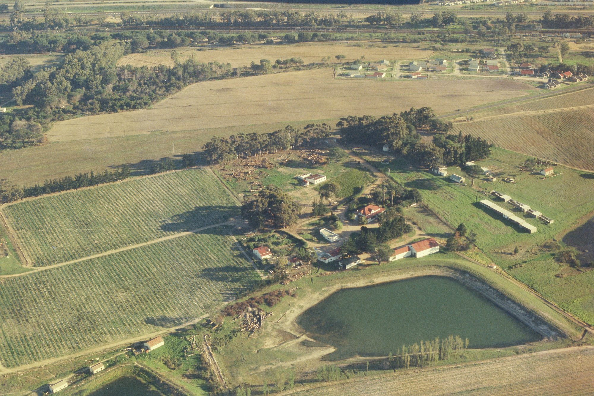 Aerial view of Eendrag's vineyards and dam
