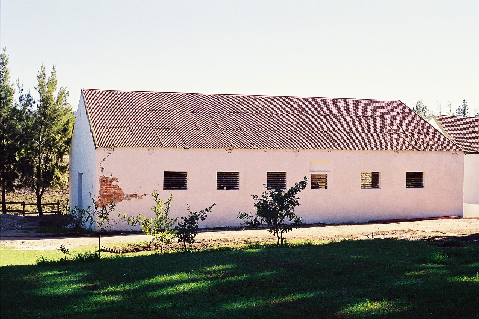 The original cellar